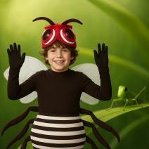 Disfraces Insectos Niños