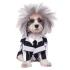 Disfraz de Beetlejuice para perro