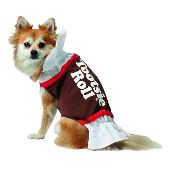Disfraz de dulce de chocolate para perro