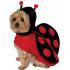 Disfraz de mariquita para perro