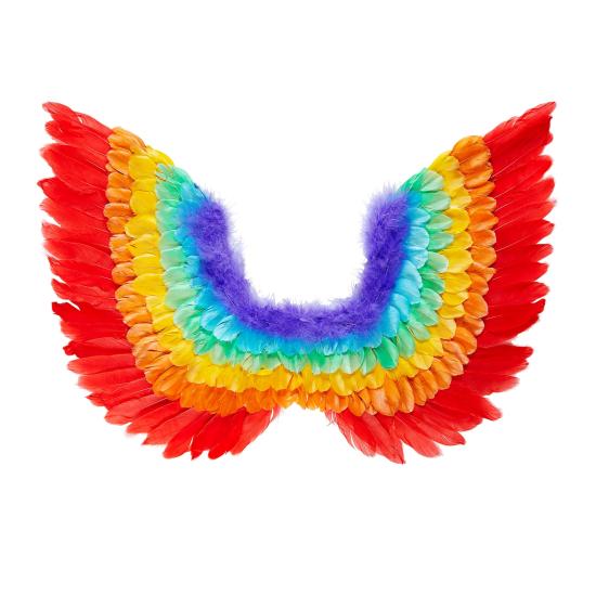 Alas de Pluma Arco Iris 60 x 40 cms
