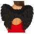 Alas de Plumas Negras 60x50 cm