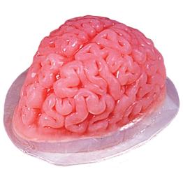 Molde de gelatina cerebral