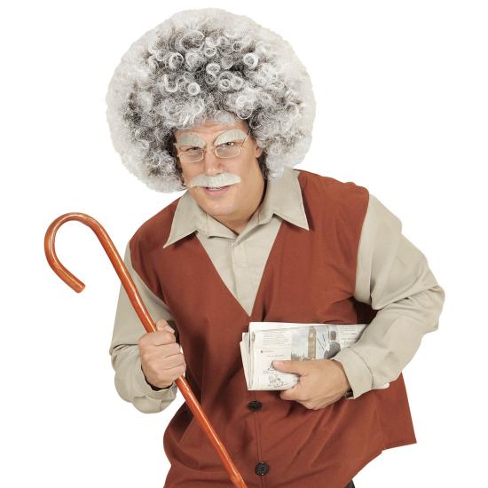 Peluca Anciano o Científico Einstein